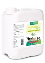 KYBELESOL bileşiminde bulunan doğal botanik yem katkı maddelerinin